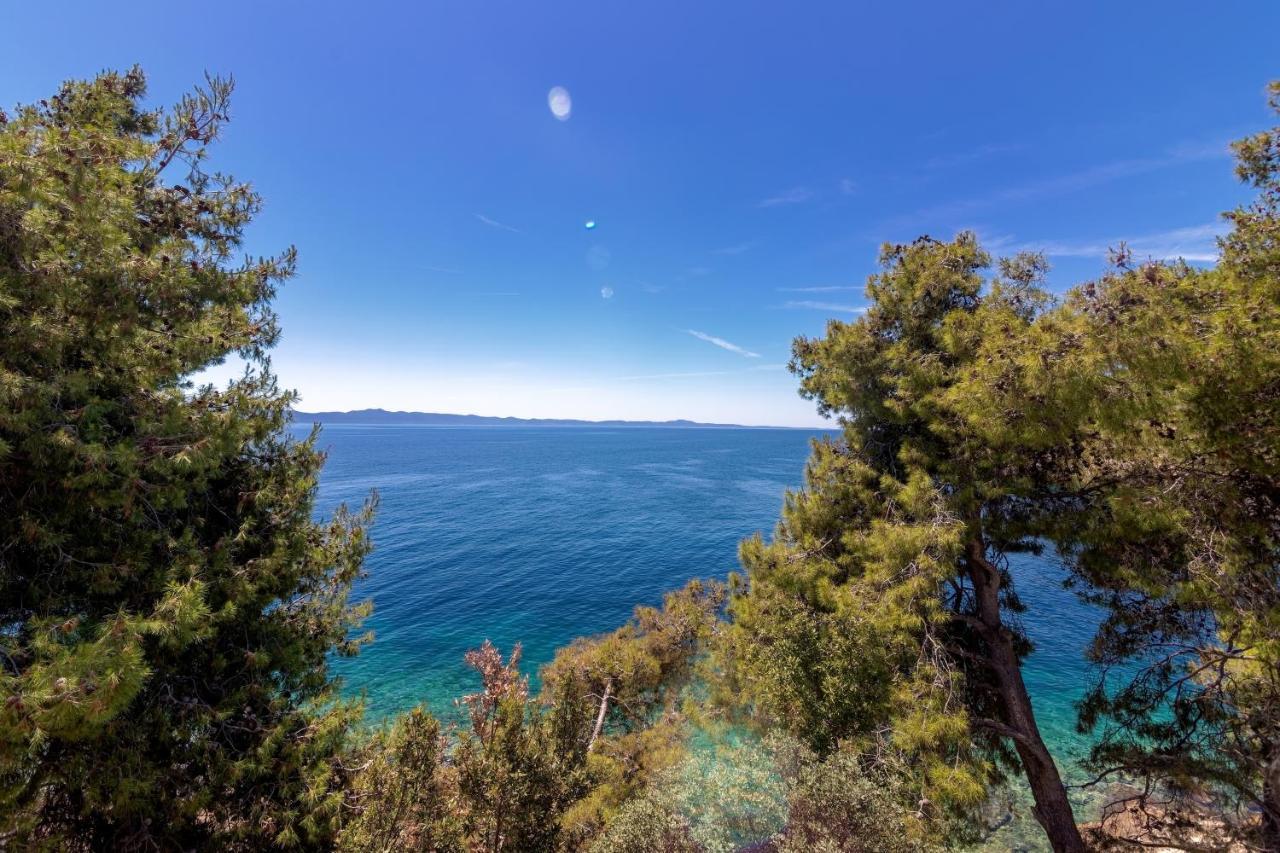 Seaside Secluded Apartments Cove Torac, Hvar - 575 Gdinj Ngoại thất bức ảnh